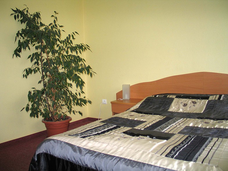 /photo/vanderer/3852245/xlarge/90768741.jpg
