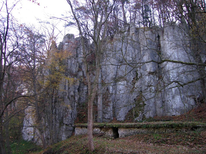 /photo/vanderer/3866829/xlarge/91528524.jpg