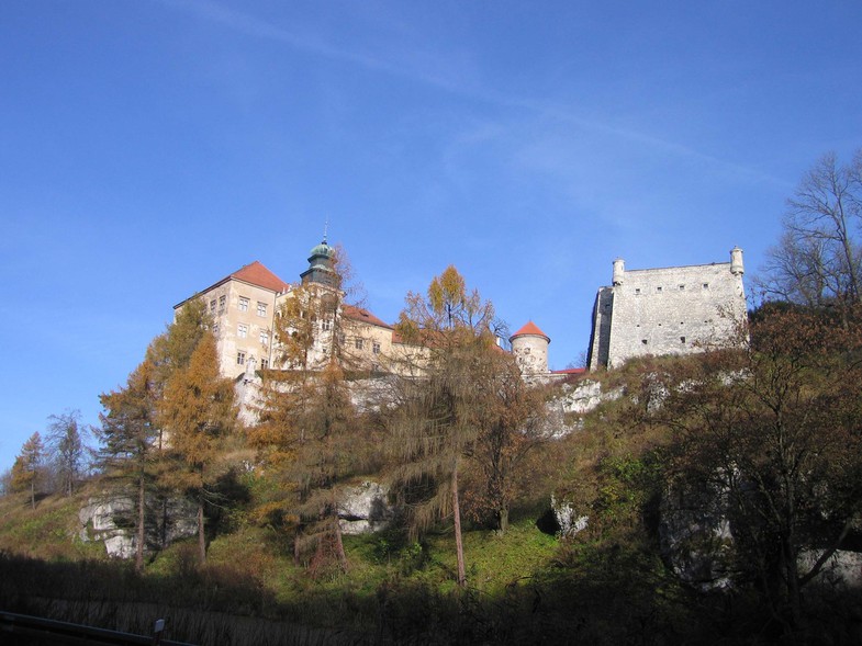 /photo/vanderer/3866829/xlarge/91528554.jpg