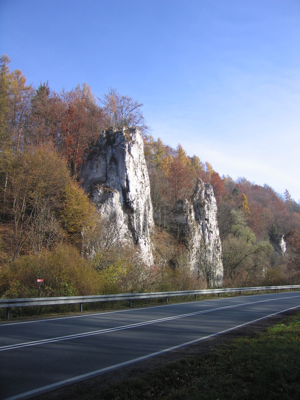 /photo/vanderer/3866829/xlarge/91528565.jpg