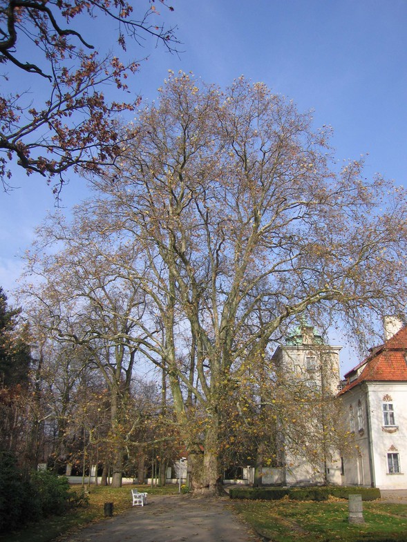 /photo/vanderer/3877659/xlarge/92125839.jpg